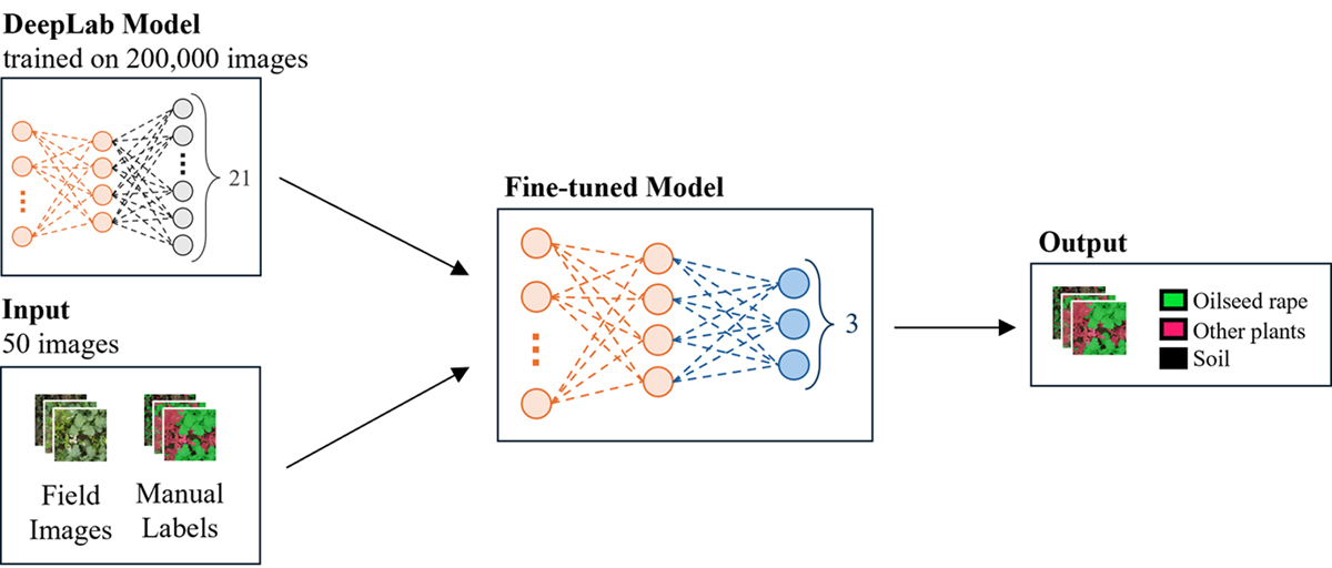 Fig. 1 Refer to the following caption and surrounding text.