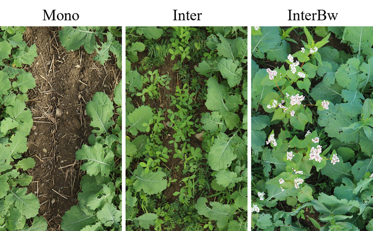 Fig. 4 Refer to the following caption and surrounding text.