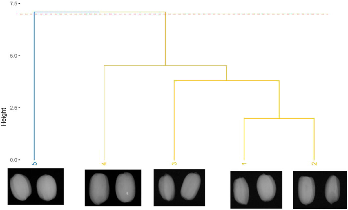 Fig. 5 Refer to the following caption and surrounding text.