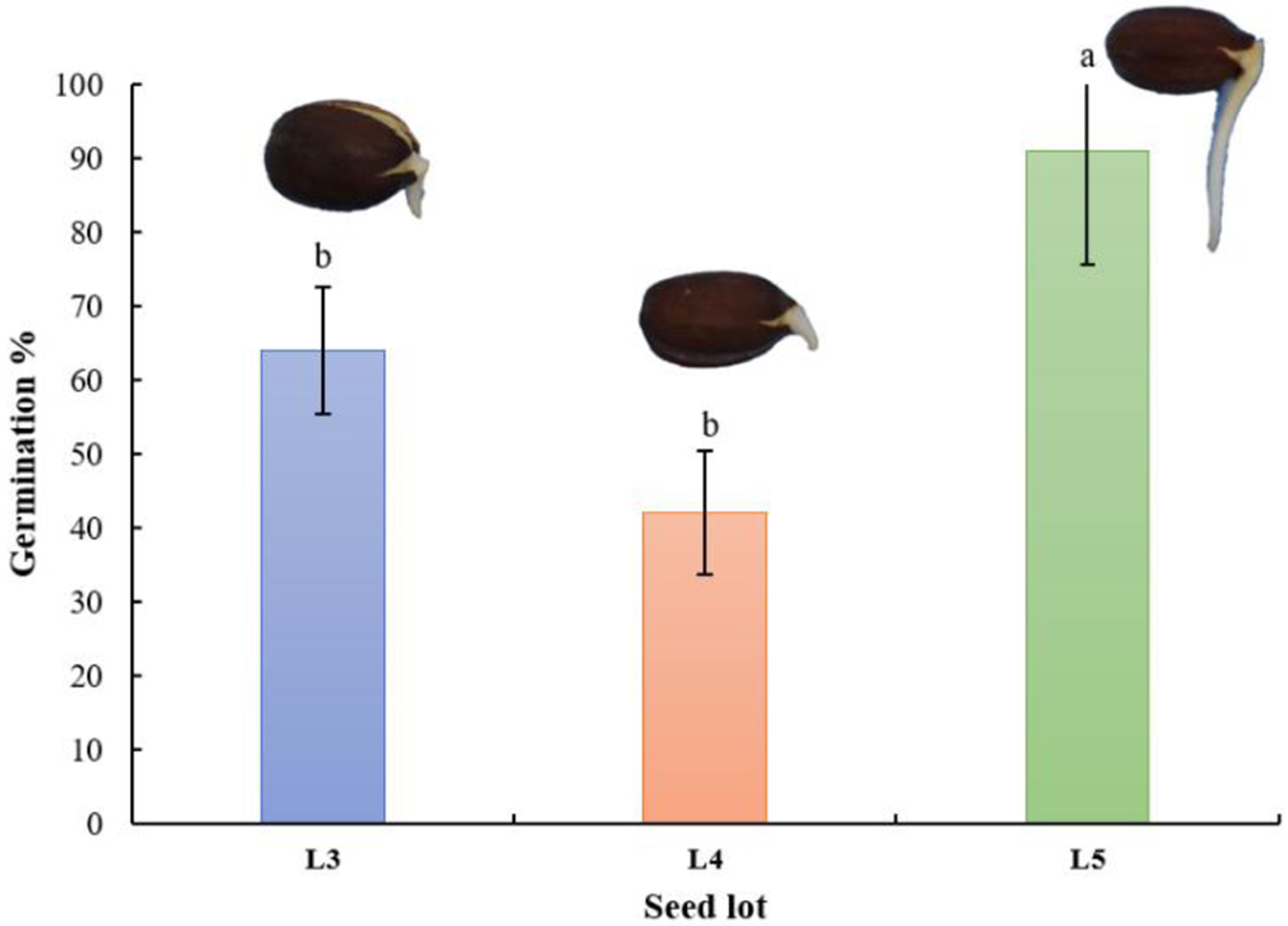 Fig. 6 Refer to the following caption and surrounding text.