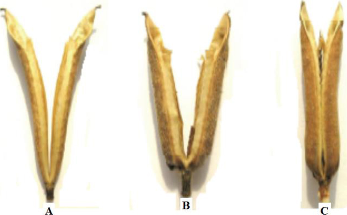 Fig. 3 Refer to the following caption and surrounding text.