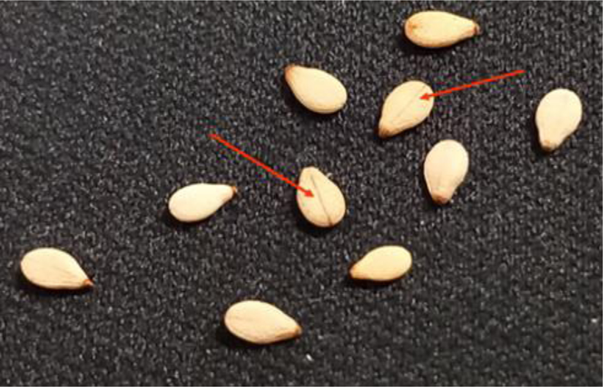 Fig. 4 Refer to the following caption and surrounding text.