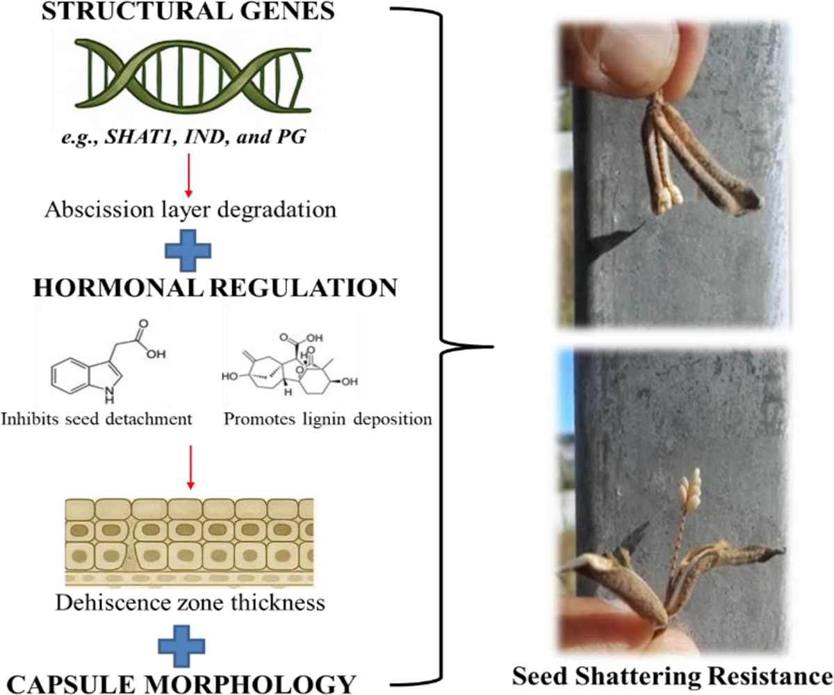 Fig. 5 Refer to the following caption and surrounding text.