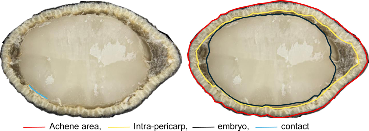 Fig. 2 Refer to the following caption and surrounding text.