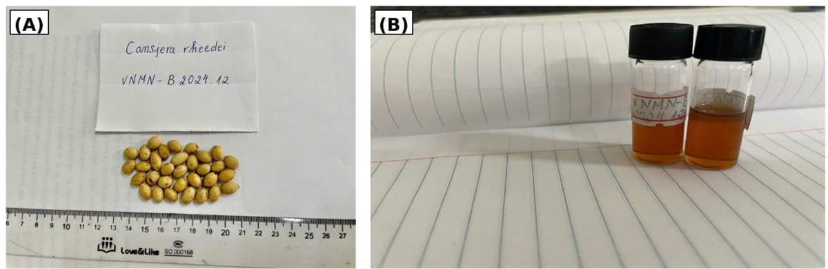 Fig. 5 Refer to the following caption and surrounding text.