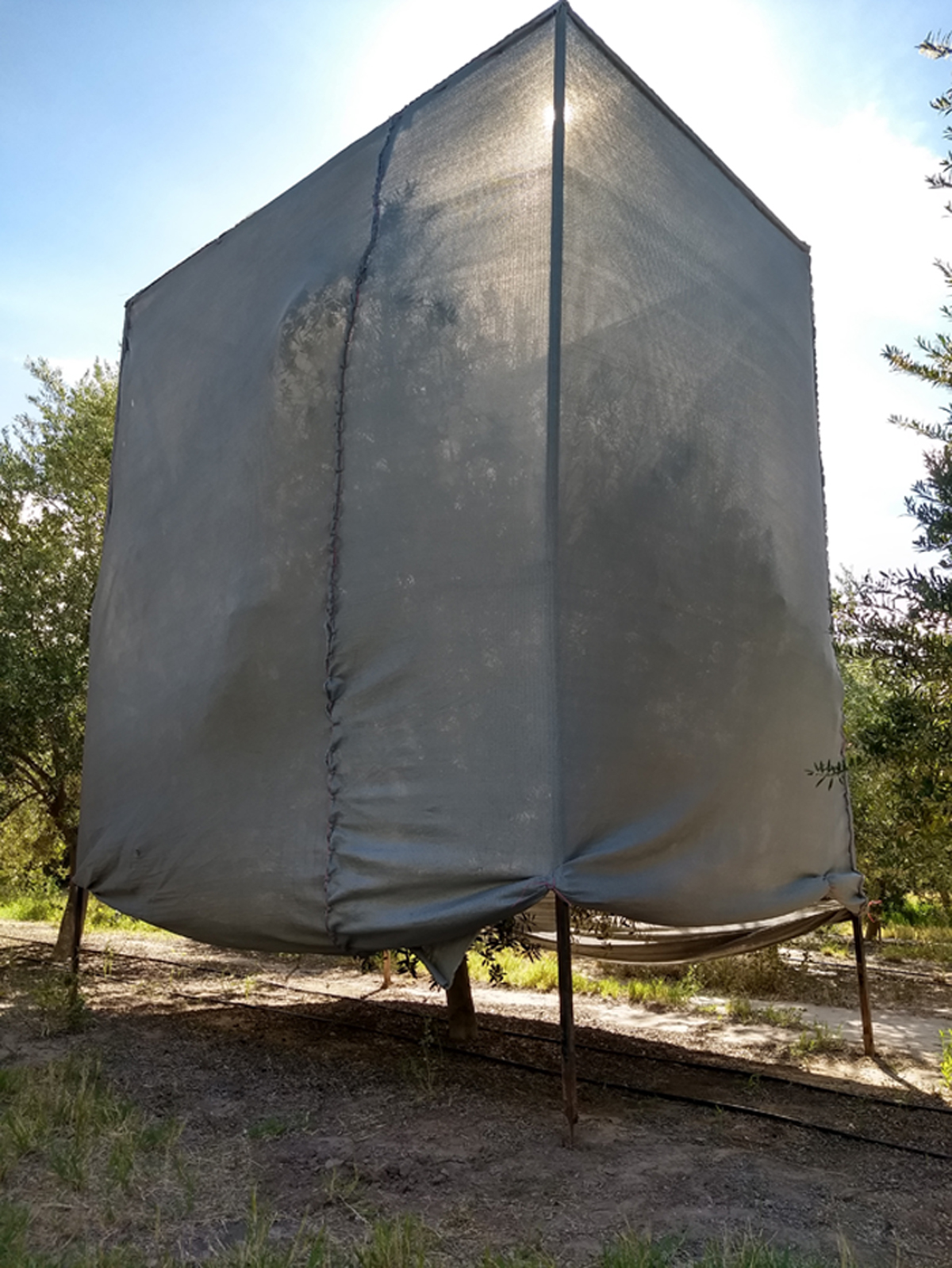 Fig. 1 Refer to the following caption and surrounding text.