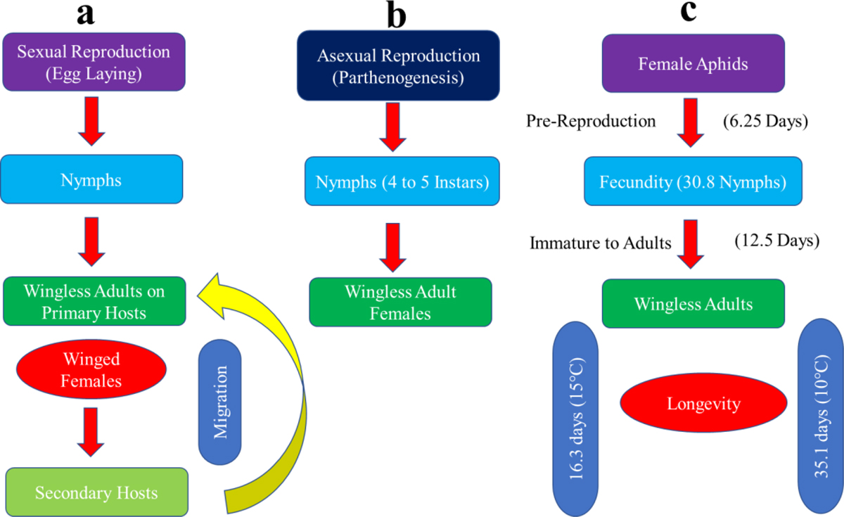 Fig. 2 Refer to the following caption and surrounding text.
