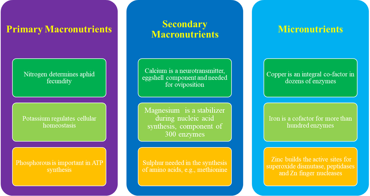 Fig 4 Refer to the following caption and surrounding text.