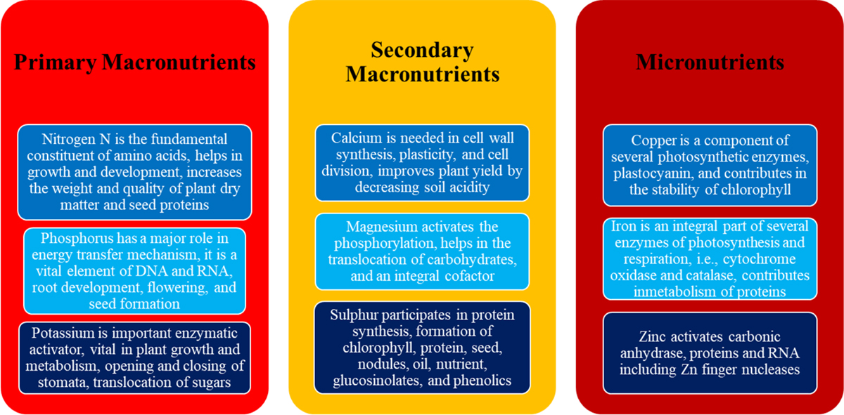 Fig 6 Refer to the following caption and surrounding text.