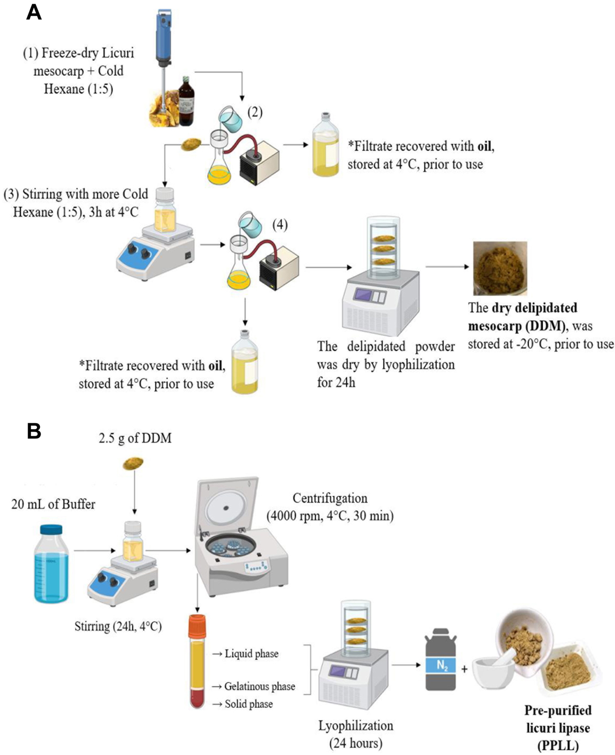 Fig 2 Refer to the following caption and surrounding text.