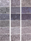 Thumbnail: Fig. 6 Refer to the following caption and surrounding text.