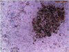 Thumbnail: Fig. 7 Refer to the following caption and surrounding text.