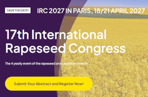  IRC 2025