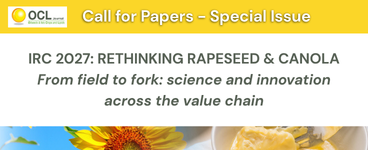 IRC 2027 - Call for Papers